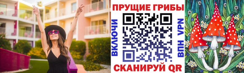 Купить где  Снежинск  Галлюциногенные грибы мицелий 
